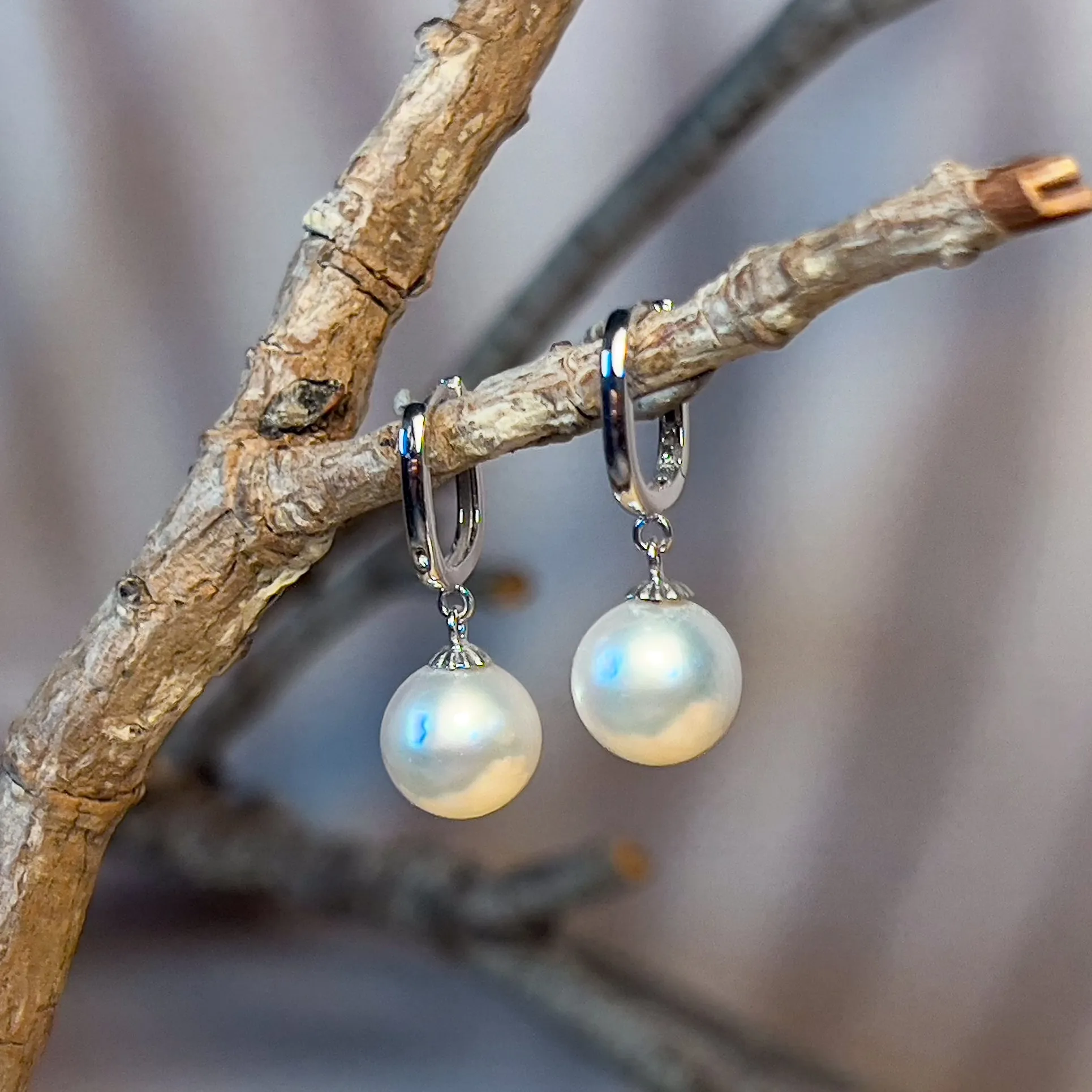 18kt White Gold dangling U-shape huggies with 8-8.5mm South Sea Pearls earrings