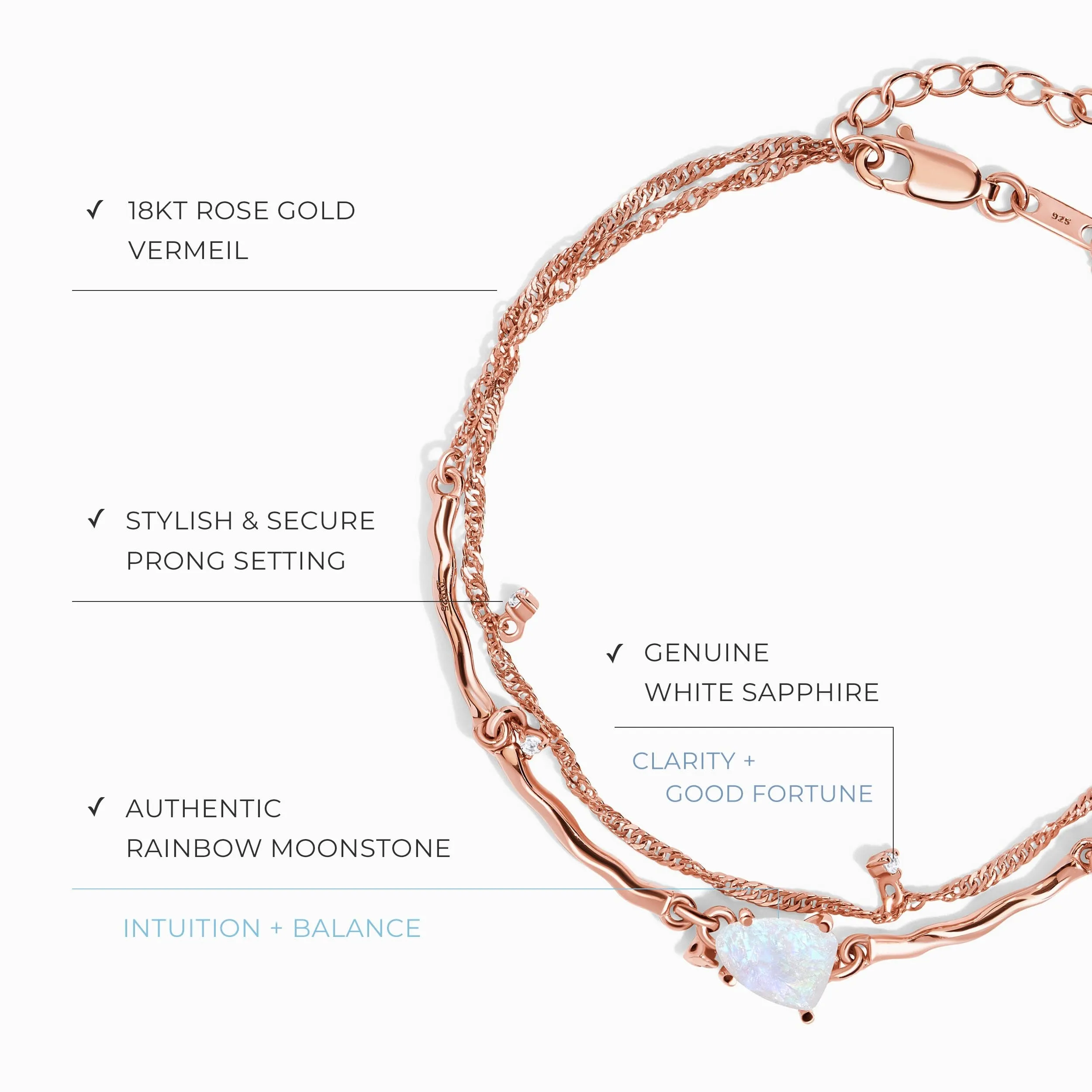 Universal Harmony Bundle